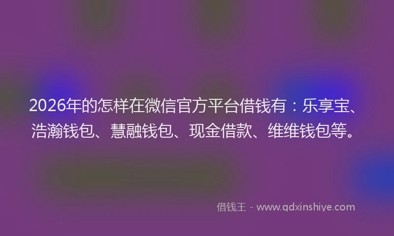2026年的怎样在微信官方平台借钱有:乐享宝、浩瀚钱包、慧融钱包、现金借款、维维钱包等。