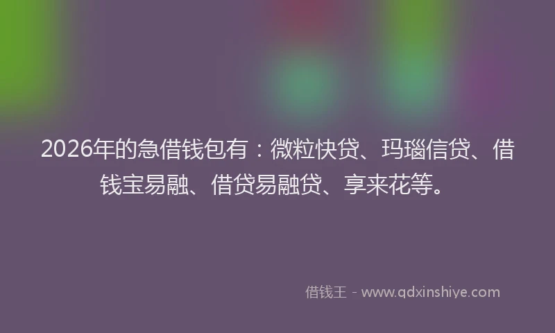 2026年的急借钱包有：微粒快贷、玛瑙信贷、借钱宝易融、借贷易融贷、享来花等。
