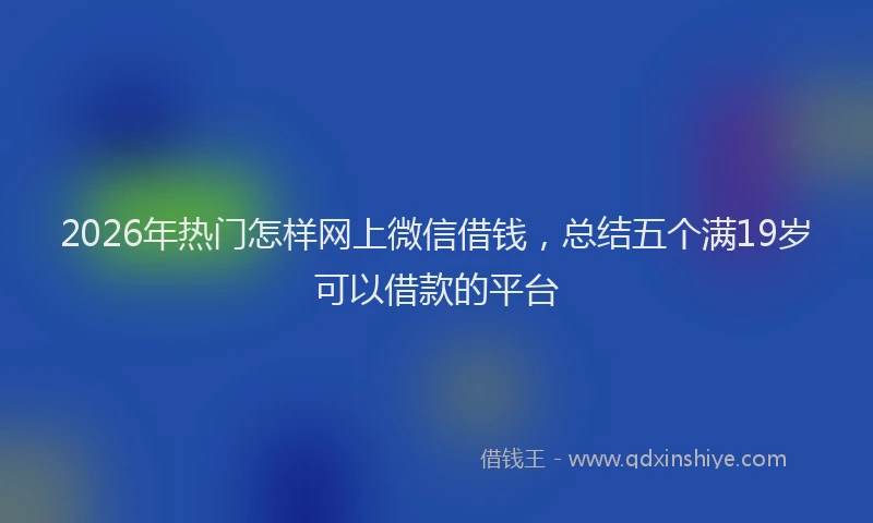 2026年热门怎样网上微信借钱，总结五个满19岁可以借款的平台