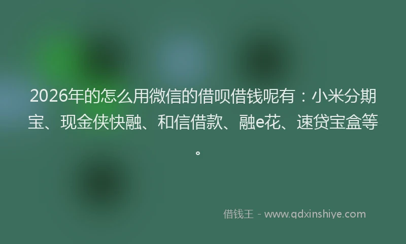 2026年的怎么用微信的借呗借钱呢有:小米分期宝、现金侠快融、和信借款、融e花、速贷宝盒等。