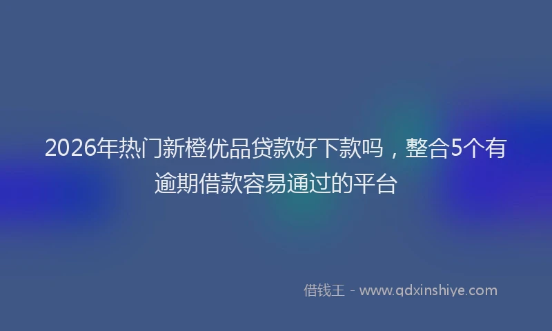 2026年热门新橙优品贷款好下款吗，整合5个有逾期借款容易通过的平台