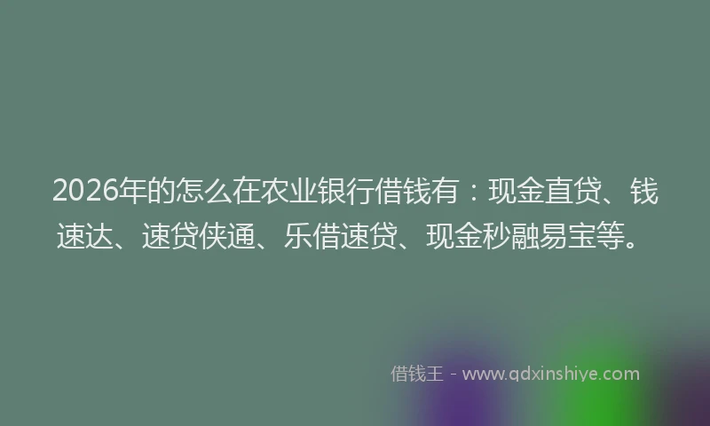 2026年的怎么在农业银行借钱有：现金直贷、钱速达、速贷侠通、乐借速贷、现金秒融易宝等。