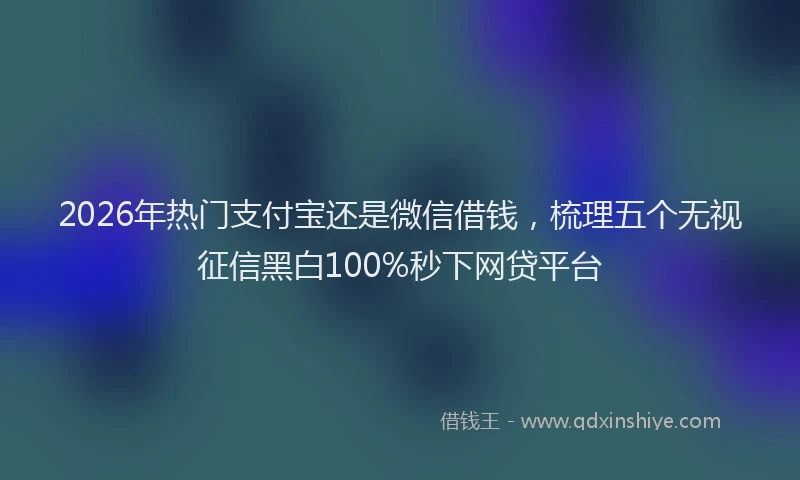 2026年热门支付宝还是微信借钱，梳理五个无视征信黑白100%秒下网贷平台