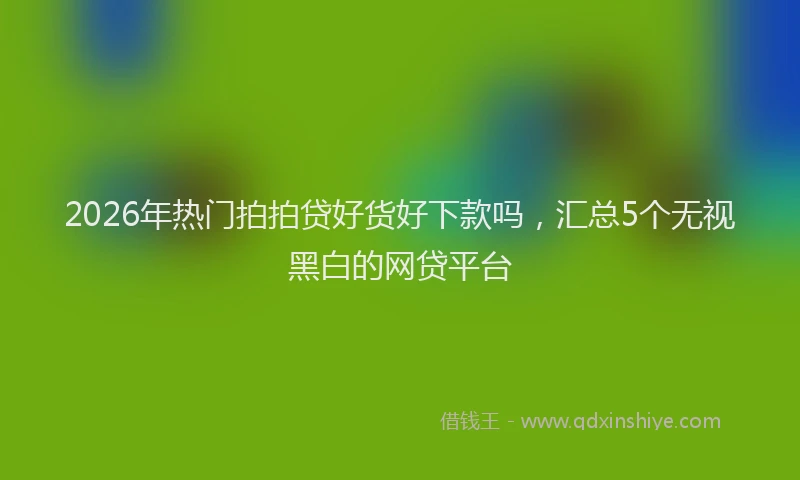 2026年热门拍拍贷好货好下款吗，汇总5个无视黑白的网贷平台