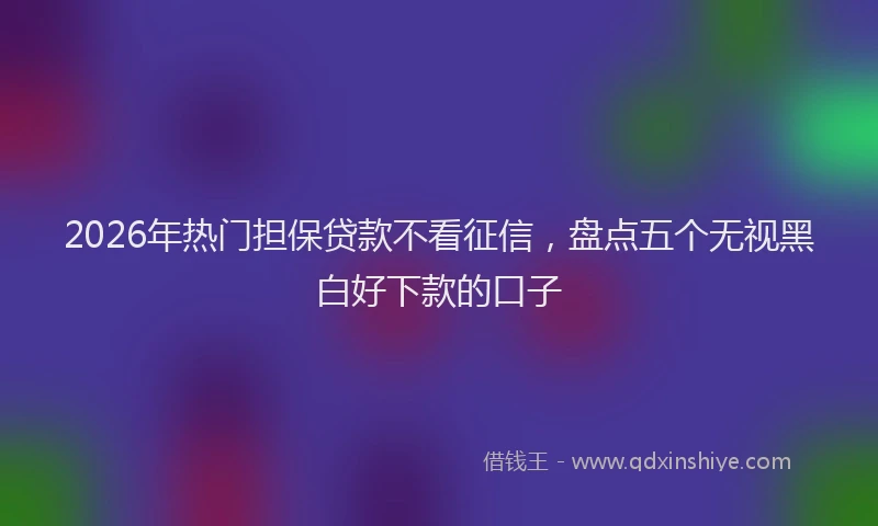 2026年热门担保贷款不看征信，盘点五个无视黑白好下款的口子