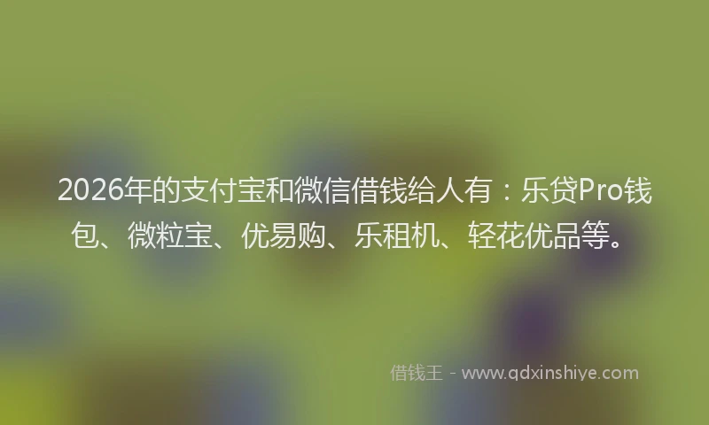 2026年的支付宝和微信借钱给人有：乐贷Pro钱包、微粒宝、优易购、乐租机、轻花优品等。