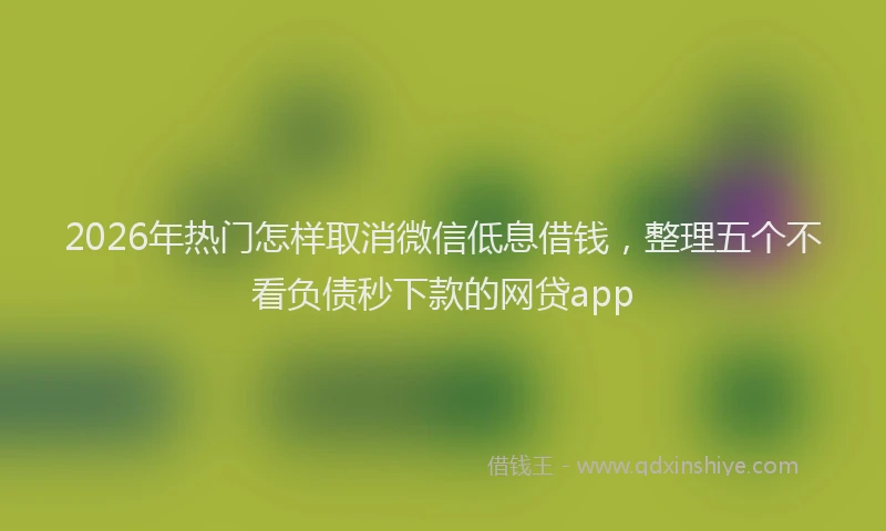 2026年热门怎样取消微信低息借钱，整理五个不看负债秒下款的网贷app