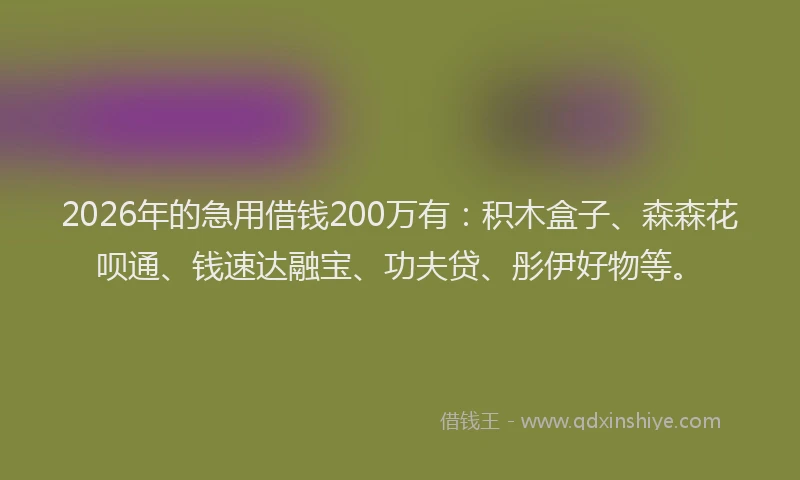 2026年的急用借钱200万有：积木盒子、森森花呗通、钱速达融宝、功夫贷、彤伊好物等。