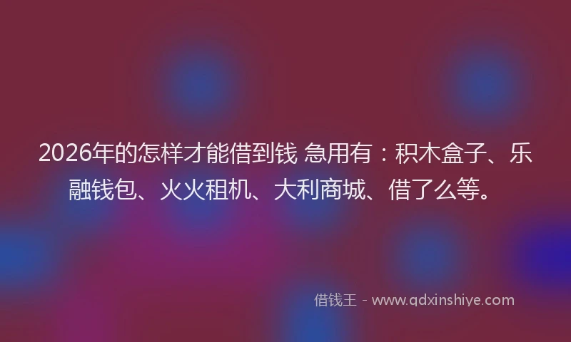 2026年的怎样才能借到钱 急用有：积木盒子、乐融钱包、火火租机、大利商城、借了么等。