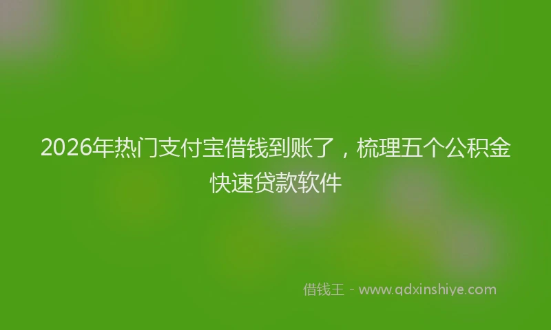2026年热门支付宝借钱到账了，梳理五个公积金快速贷款软件