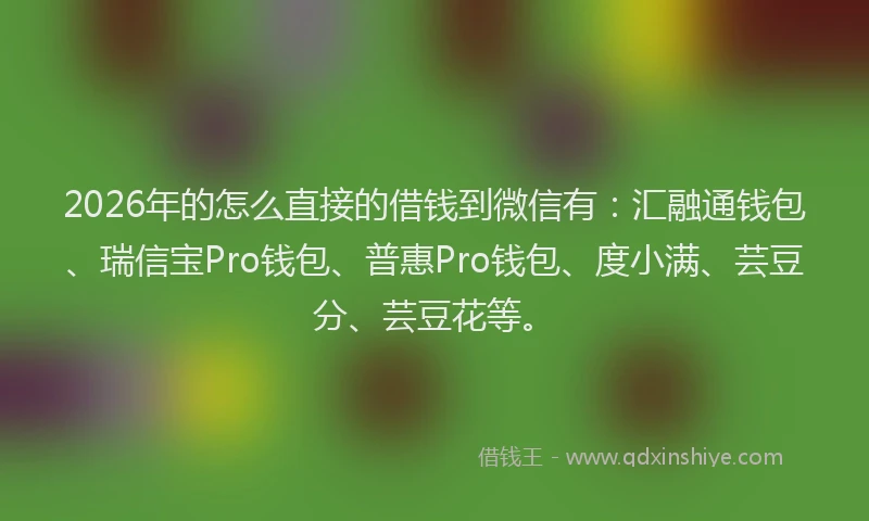 2026年的怎么直接的借钱到微信有：汇融通钱包、瑞信宝Pro钱包、普惠Pro钱包、度小满、芸豆分、芸豆花等。