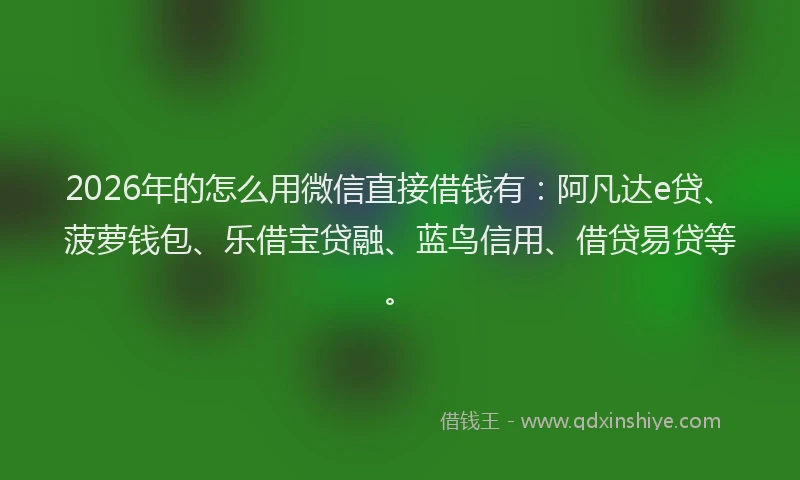 2026年的怎么用微信直接借钱有:阿凡达e贷、菠萝钱包、乐借宝贷融、蓝鸟信用、借贷易贷等。