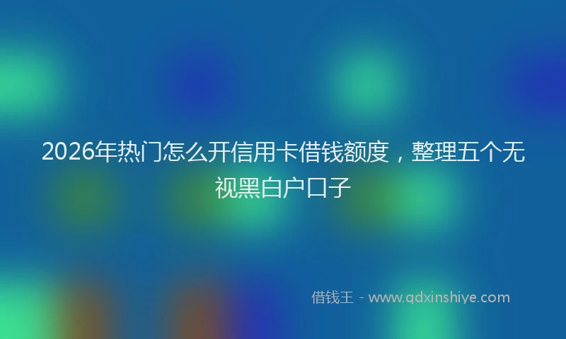 2026年热门怎么开信用卡借钱额度，整理五个无视黑白户口子
