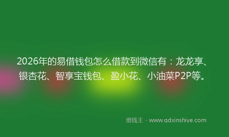 2026年的易借钱包怎么借款到微信有：龙龙享、银杏花、智享宝钱包、盈小花、小油菜P2P等。