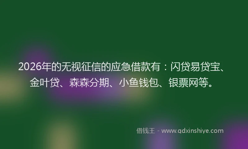 2026年的无视征信的应急借款有：闪贷易贷宝、金叶贷、森森分期、小鱼钱包、银票网等。