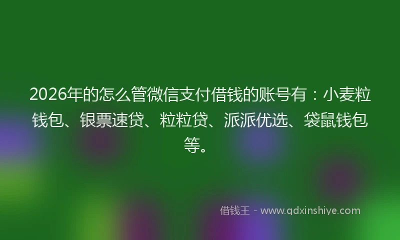 2026年的怎么管微信支付借钱的账号有：小麦粒钱包、银票速贷、粒粒贷、派派优选、袋鼠钱包等。