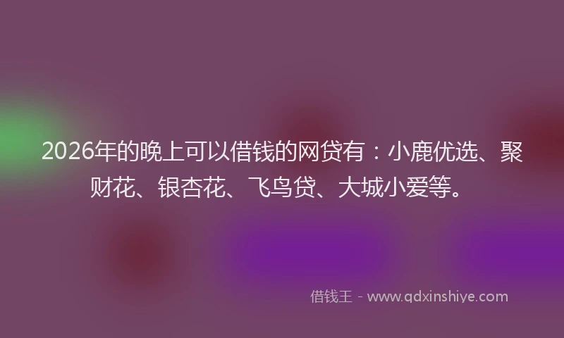 2026年的晚上可以借钱的网贷有：小鹿优选、聚财花、银杏花、飞鸟贷、大城小爱等。