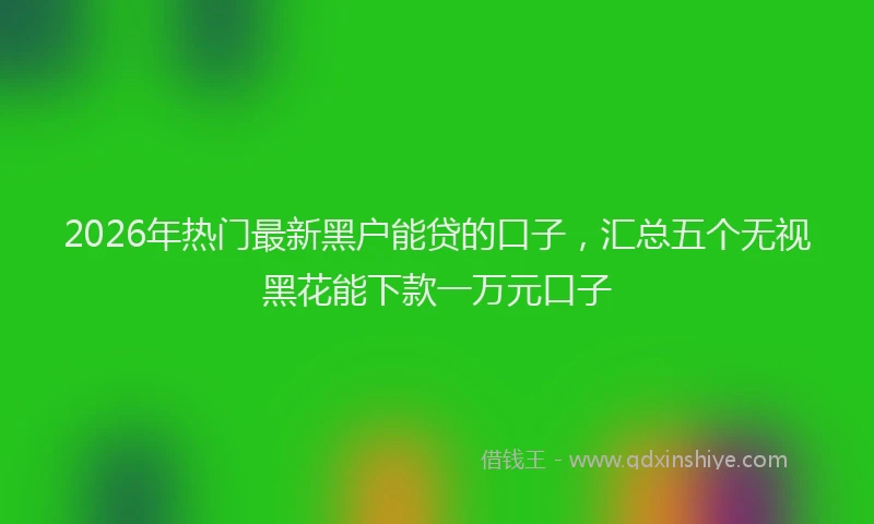 2026年热门最新黑户能贷的口子，汇总五个无视黑花能下款一万元口子