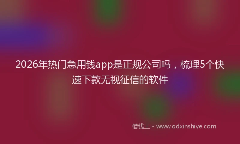 2026年热门急用钱app是正规公司吗，梳理5个快速下款无视征信的软件