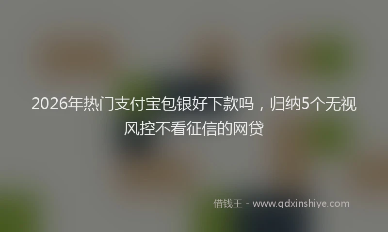 2026年热门支付宝包银好下款吗，归纳5个无视风控不看征信的网贷