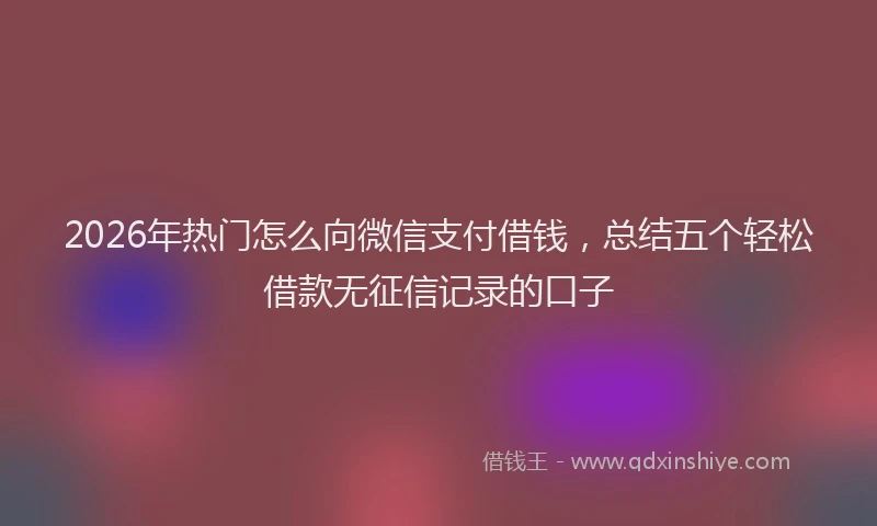 2026年热门怎么向微信支付借钱，总结五个轻松借款无征信记录的口子