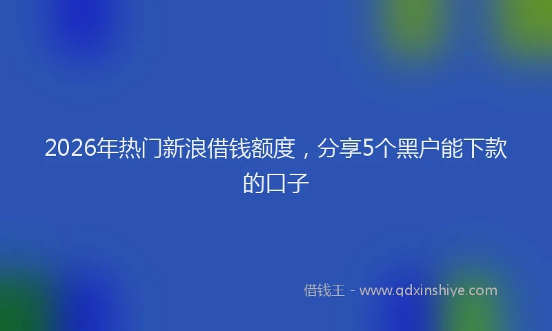 2026年热门新浪借钱额度，分享5个黑户能下款的口子