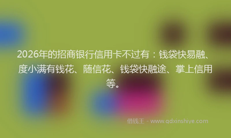 2026年的招商银行信用卡不过有：钱袋快易融、度小满有钱花、随信花、钱袋快融途、掌上信用等。