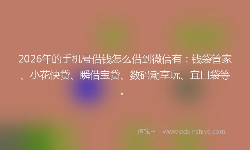 2026年的手机号借钱怎么借到微信有：钱袋管家、小花快贷、瞬借宝贷、数码潮享玩、宜口袋等。
