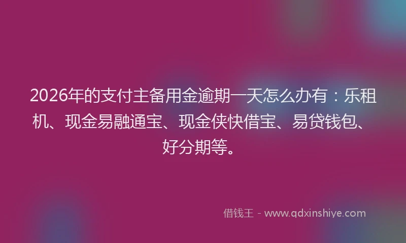 2026年的支付主备用金逾期一天怎么办有：乐租机、现金易融通宝、现金侠快借宝、易贷钱包、好分期等。