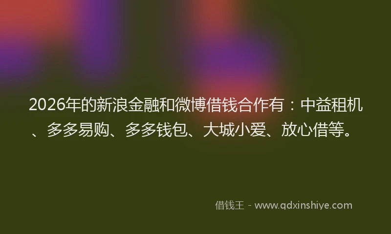 2026年的新浪金融和微博借钱合作有：中益租机、多多易购、多多钱包、大城小爱、放心借等。