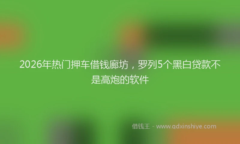 2026年热门押车借钱廊坊,罗列5个黑白贷款不是高炮的软件