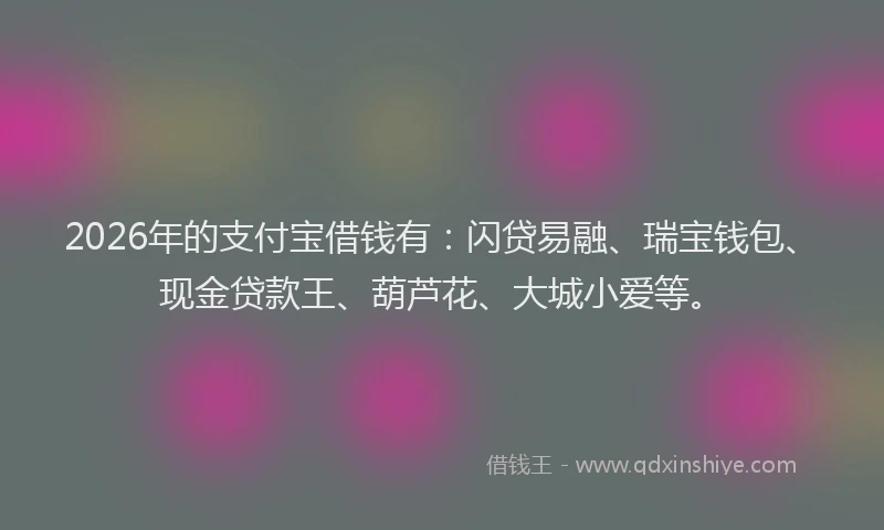 2026年的支付宝借钱有：闪贷易融、瑞宝钱包、现金贷款王、葫芦花、大城小爱等。