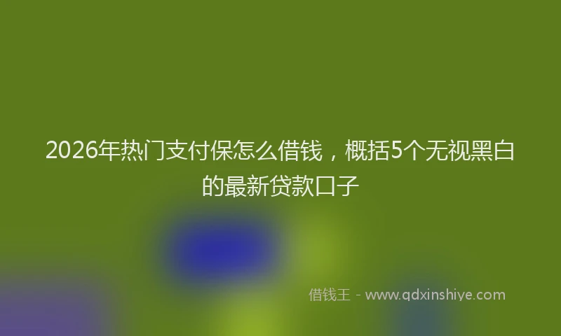 2026年热门支付保怎么借钱，概括5个无视黑白的最新贷款口子