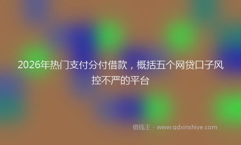 2026年热门支付分付借款，概括五个网贷口子风控不严的平台