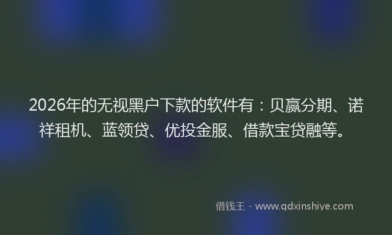2026年的无视黑户下款的软件有:贝赢分期、诺祥租机、蓝领贷、优投金服、借款宝贷融等。