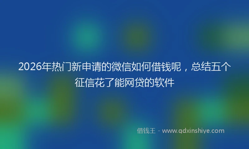 2026年热门新申请的微信如何借钱呢，总结五个征信花了能网贷的软件