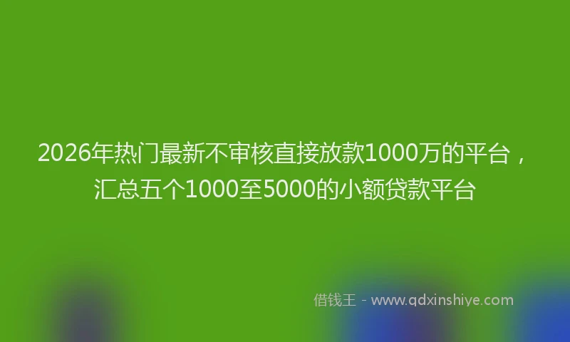 2026年热门最新不审核直接放款1000万的平台，汇总五个1000至5000的小额贷款平台