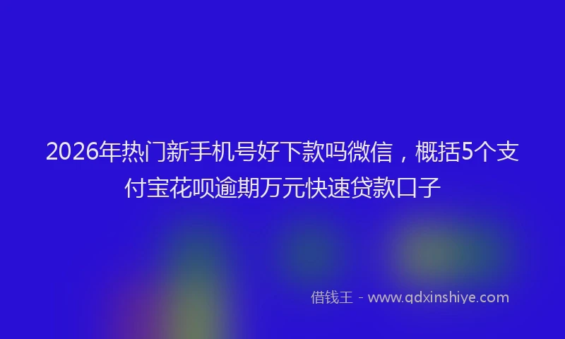 2026年热门新手机号好下款吗微信，概括5个支付宝花呗逾期万元快速贷款口子