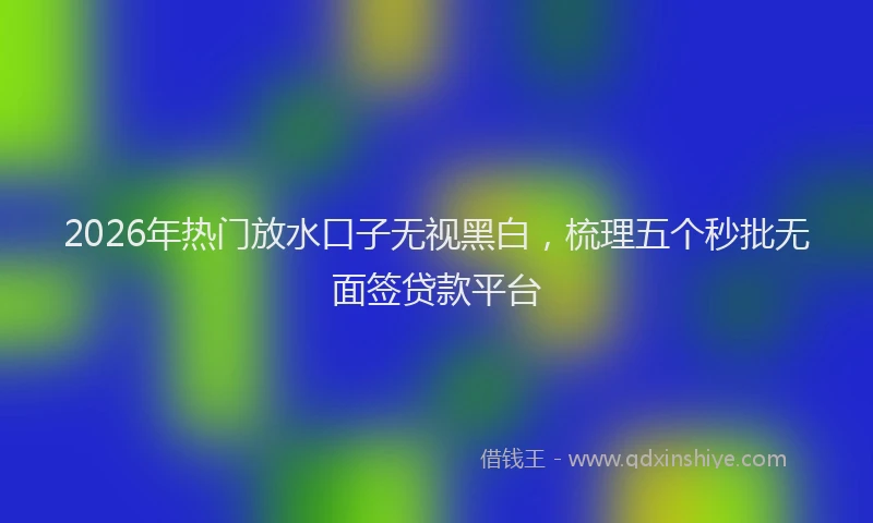 2026年热门放水口子无视黑白，梳理五个秒批无面签贷款平台