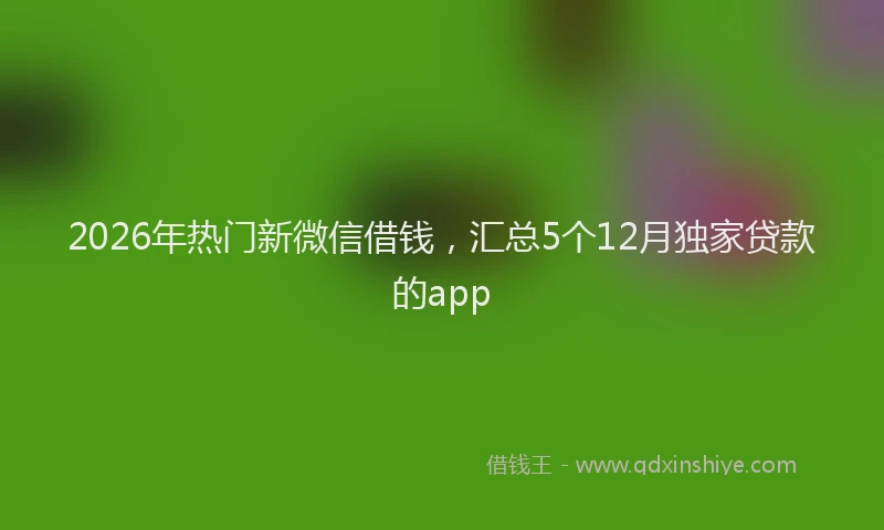 2026年热门新微信借钱，汇总5个12月独家贷款的app