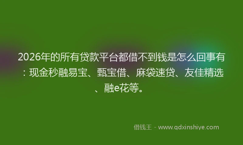 2026年的所有贷款平台都借不到钱是怎么回事有：现金秒融易宝、甄宝借、麻袋速贷、友佳精选、融e花等。