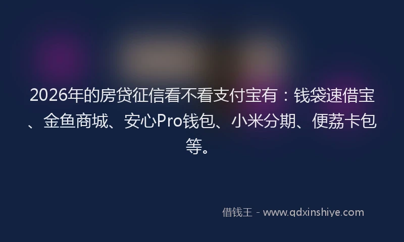 2026年的房贷征信看不看支付宝有:钱袋速借宝、金鱼商城、安心Pro钱包、小米分期、便荔卡包等。