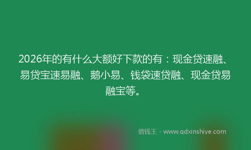 2026年的有什么大额好下款的有：现金贷速融、易贷宝速易融、鹅小易、钱袋速贷融、现金贷易融宝等。