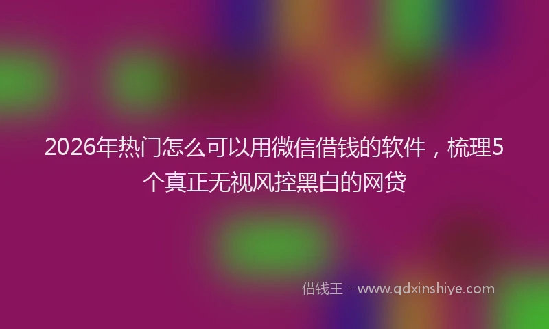 2026年热门怎么可以用微信借钱的软件,梳理5个真正无视风控黑白的网贷