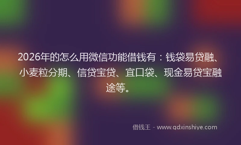 2026年的怎么用微信功能借钱有:钱袋易贷融、小麦粒分期、信贷宝贷、宜口袋、现金易贷宝融途等。