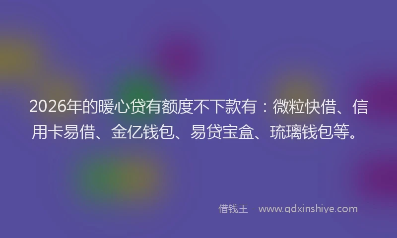 2026年的暖心贷有额度不下款有：微粒快借、信用卡易借、金亿钱包、易贷宝盒、琉璃钱包等。