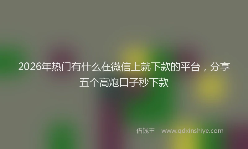 2026年热门有什么在微信上就下款的平台，分享五个高炮口子秒下款
