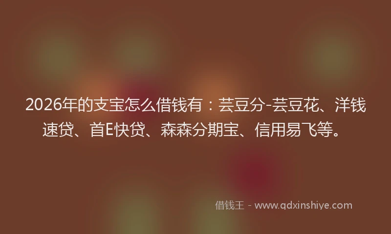 2026年的支宝怎么借钱有：芸豆分-芸豆花、洋钱速贷、首E快贷、森森分期宝、信用易飞等。