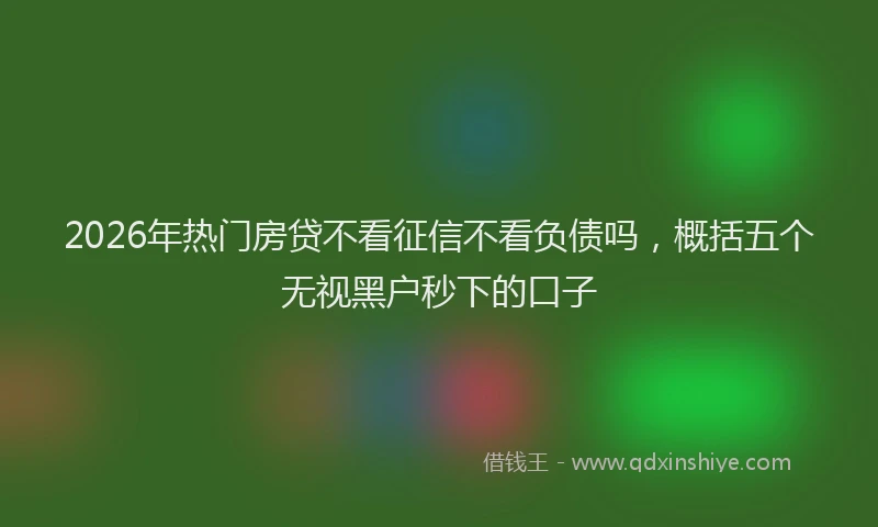 2026年热门房贷不看征信不看负债吗，概括五个无视黑户秒下的口子