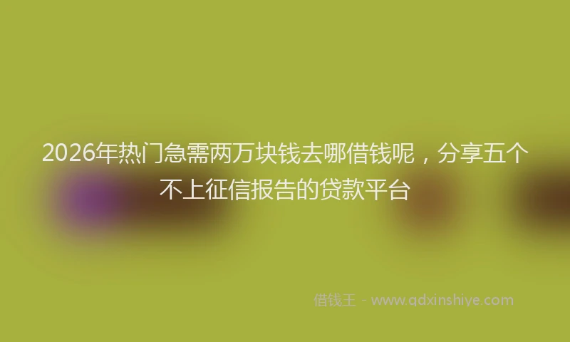 2026年热门急需两万块钱去哪借钱呢，分享五个不上征信报告的贷款平台